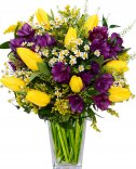 Žlté tulipány - rozvoz kvetín kamkoľvek