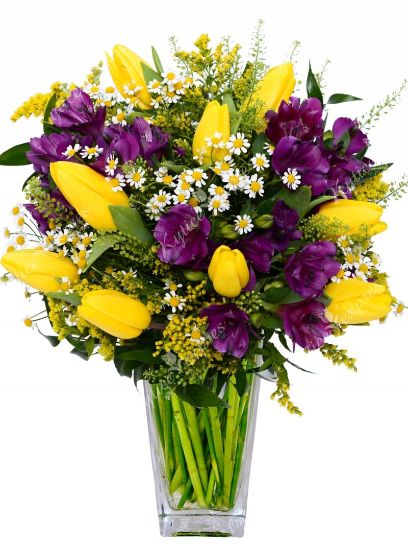 Žlté tulipány - rozvoz kvetín kamkoľvek