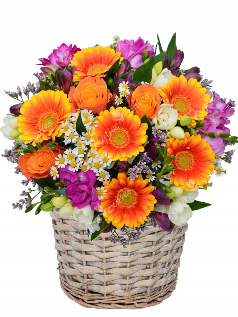 Beautiful colorful flower basket - bouquet - express