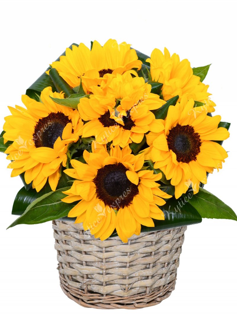 Flower basket - sunflower