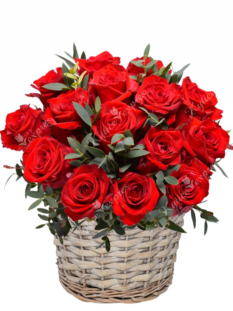 Květinový koš - červené růže