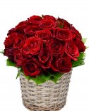 Roses in Flower Basket - Delivery of Flowers