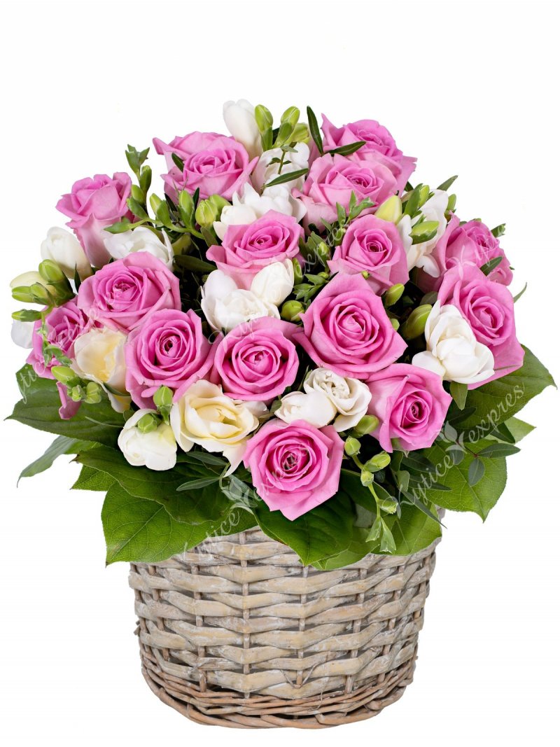 Roses and freesia - flower basket for delivery