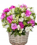 Flower delivery - bouquet - express