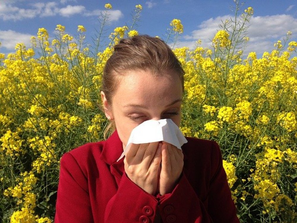 Letní pyl pro alergiky, rostliny, které podporují letní alergie