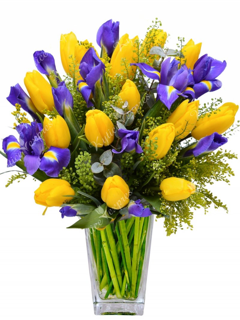 Tulipány + Irisy: Rozvoz květin