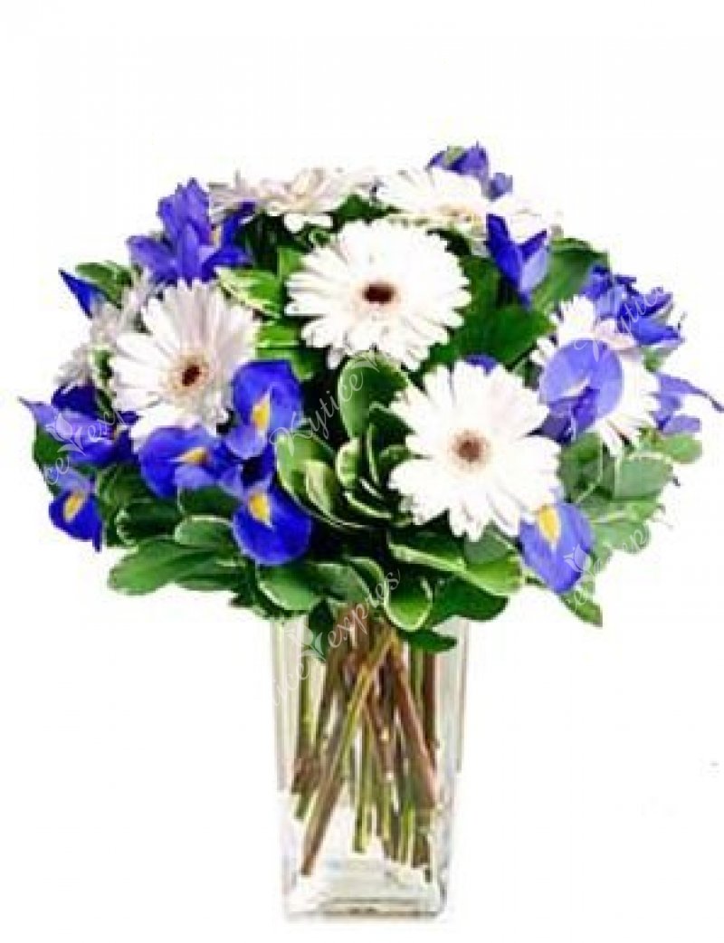 Charming bouquet with irises Frida